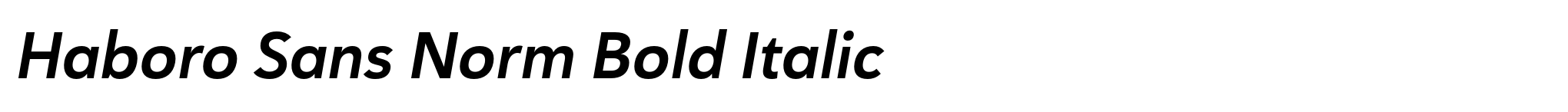Haboro Sans Norm Bold Italic image